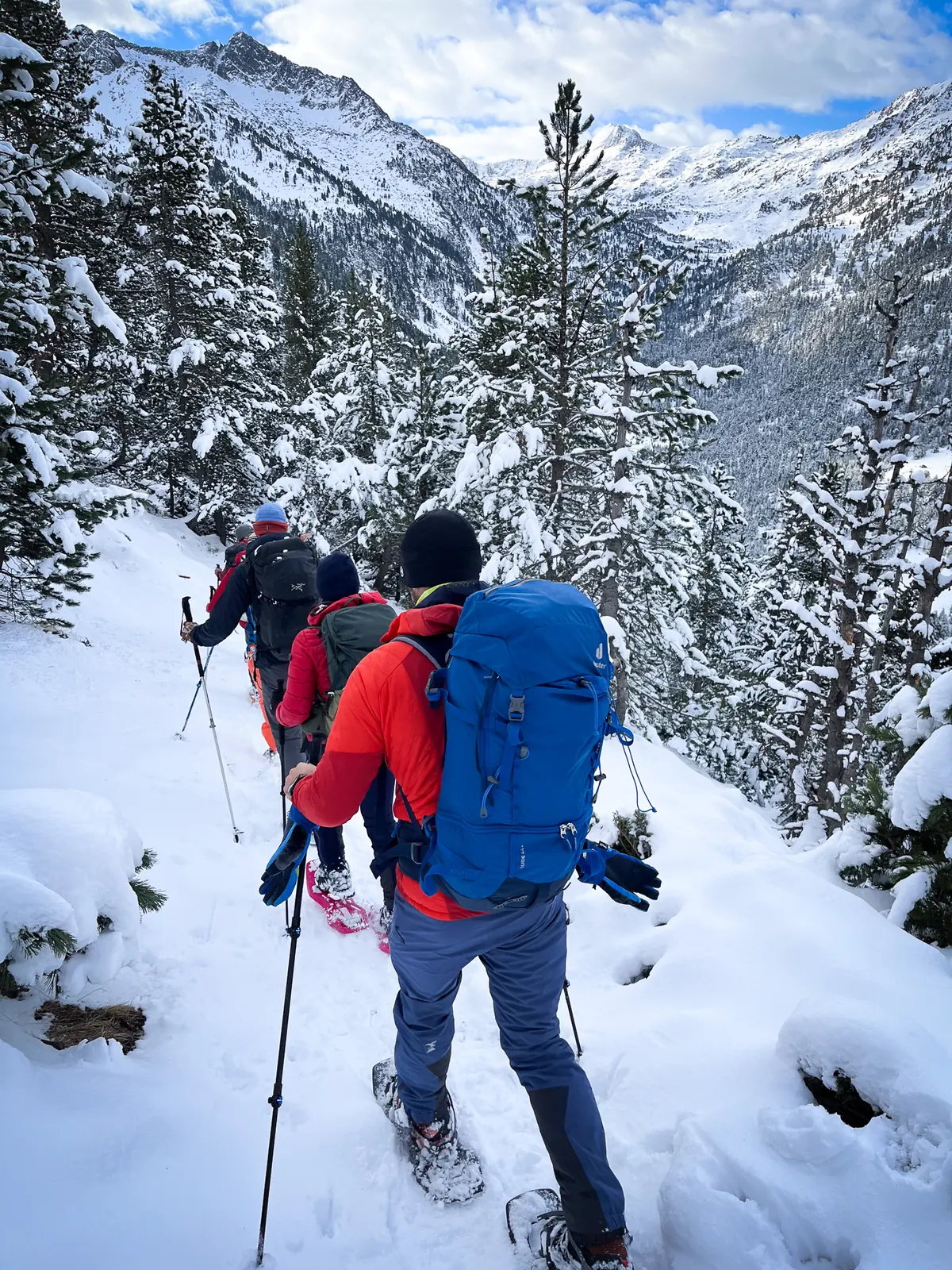 Raquetas de nieve en un bosque nevado