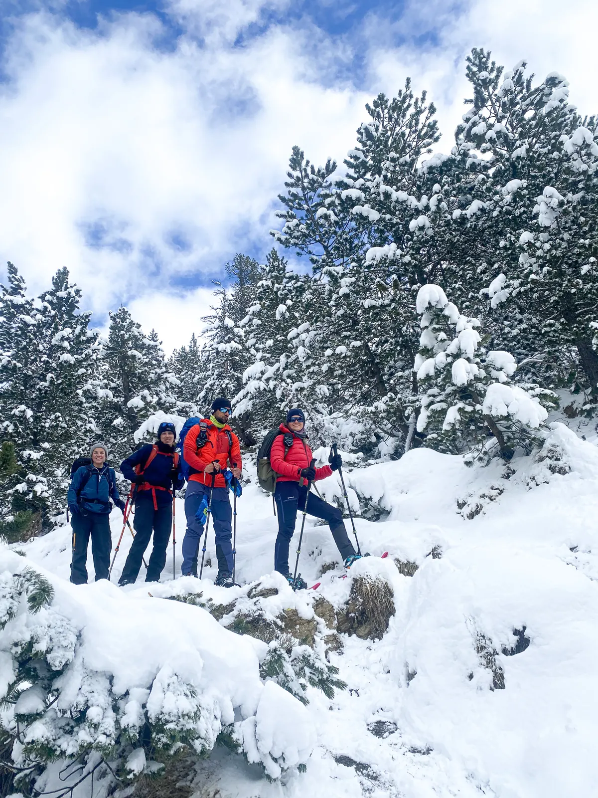Raquetas de nieve