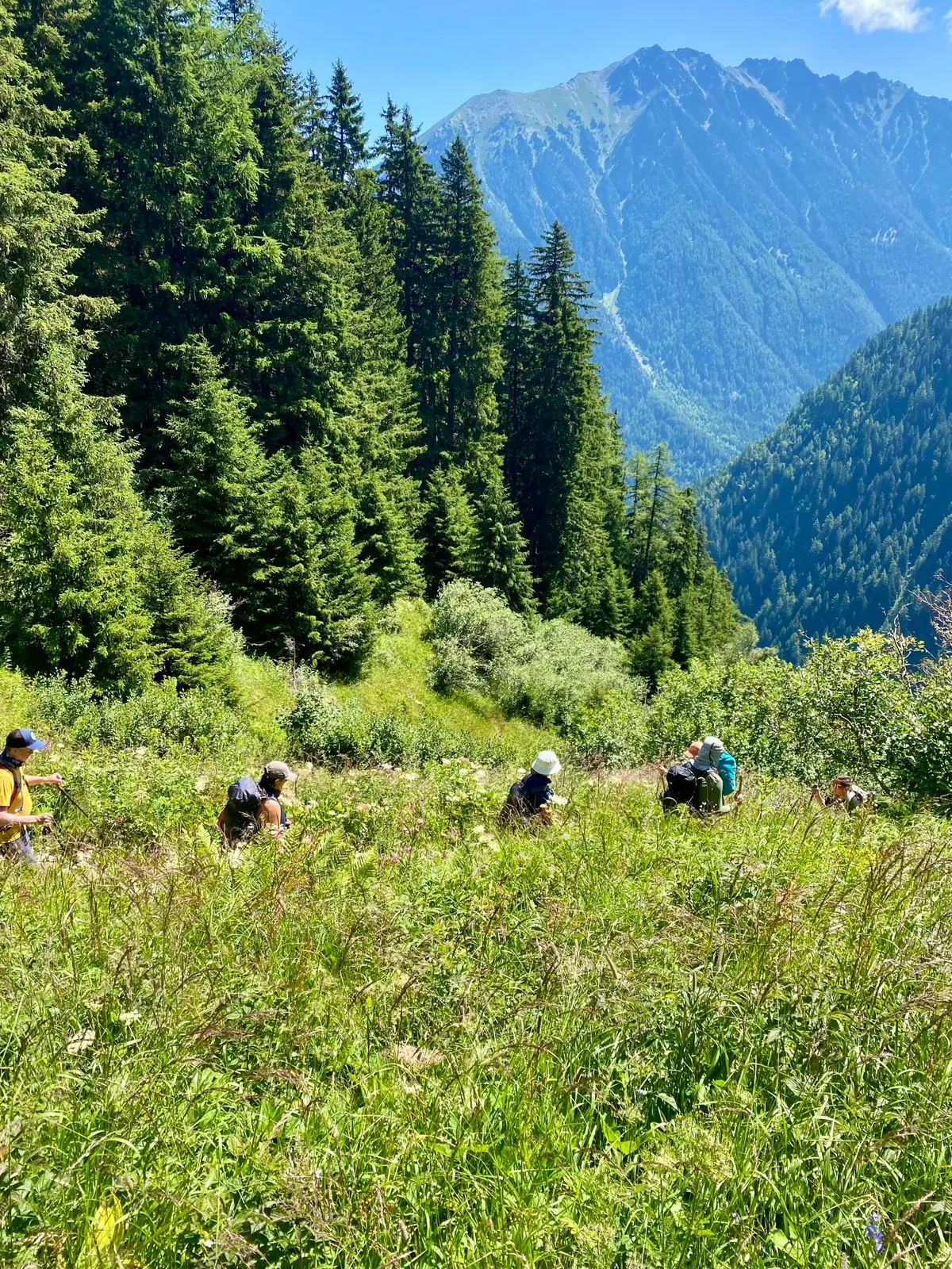 Trekking en los Alpes